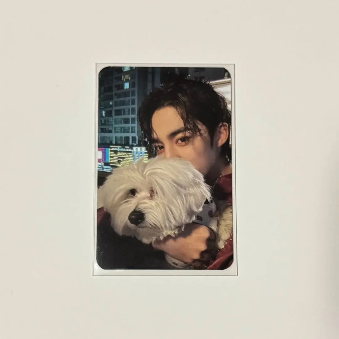 2026年最新】エスクプス クマ トレカの人気アイテム - メルカリ