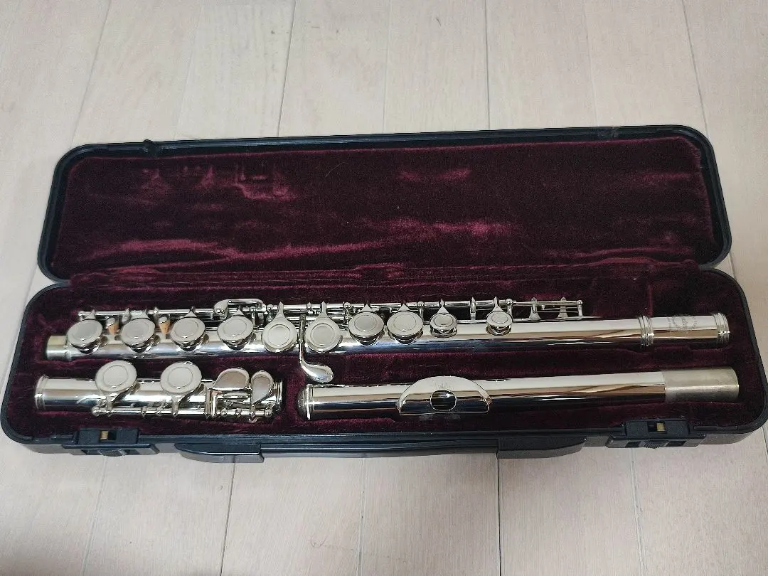 2026年最新】Maxtone フルートの人気アイテム - メルカリ