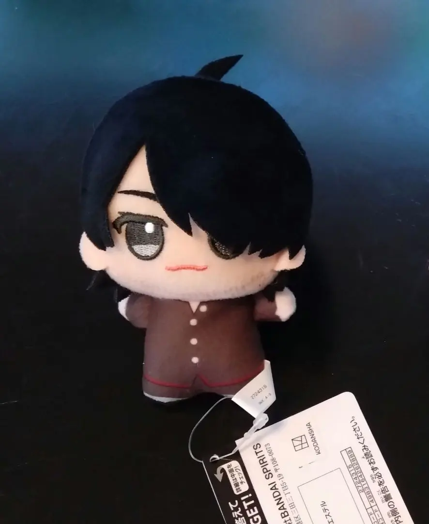 2026年最新】阿良々木 暦 ぬいぐるみの人気アイテム - メルカリ