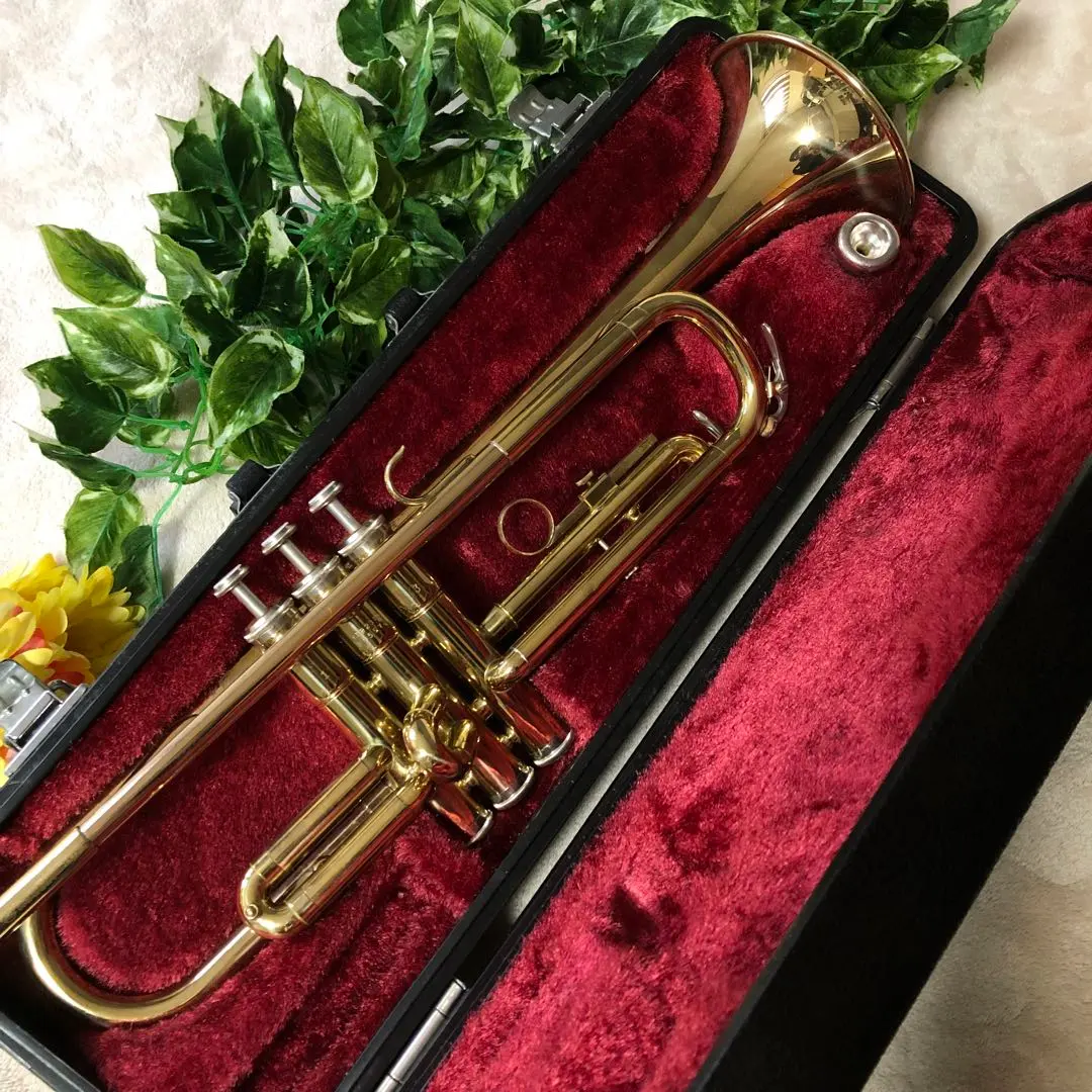 2026年最新】ytr 2310の人気アイテム - メルカリ