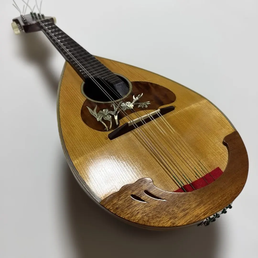 2026年最新】カラーチェ マンドリンの人気アイテム - メルカリ