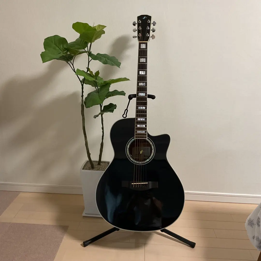 2026年最新】hotaka ギターの人気アイテム - メルカリ