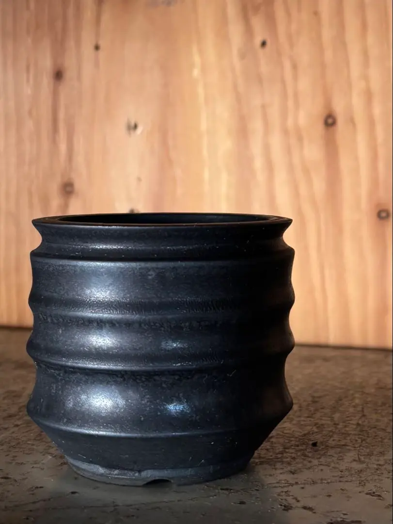 2026年最新】田中元将 鉢の人気アイテム - メルカリ