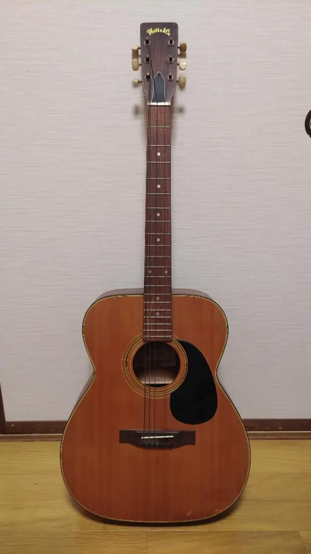 2026年最新】hotta ギター 100の人気アイテム - メルカリ