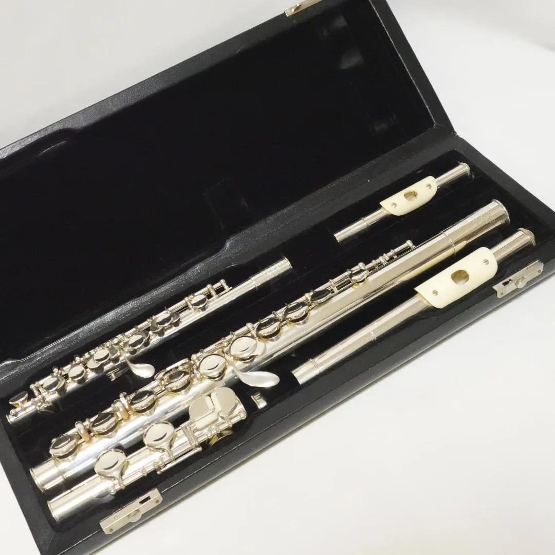 2026年最新】ハンミッヒ フルートの人気アイテム - メルカリ