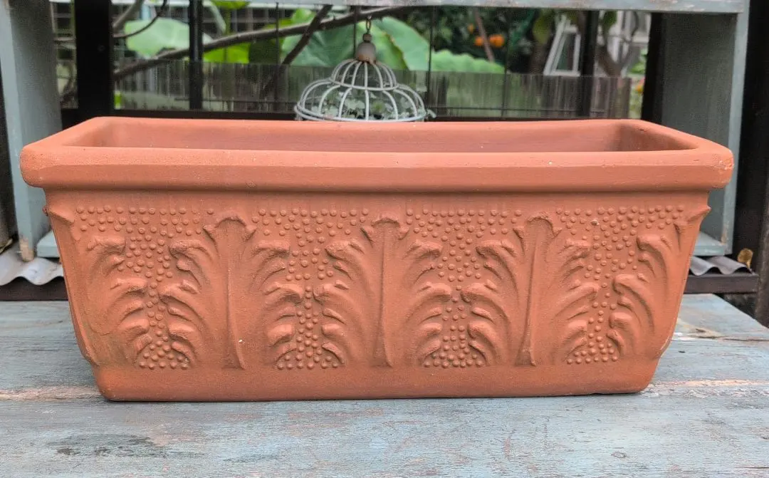 2026年最新】デローマ鉢の人気アイテム - メルカリ