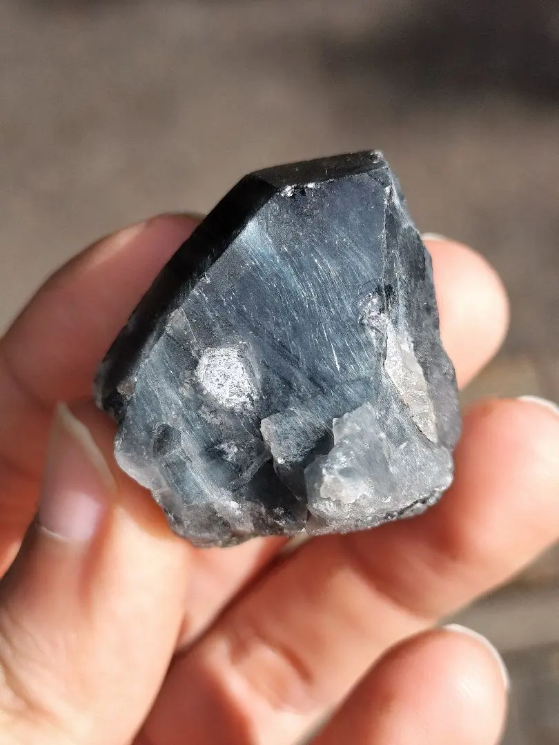 2026年最新】ブルーザギマウンテンの人気アイテム - メルカリ