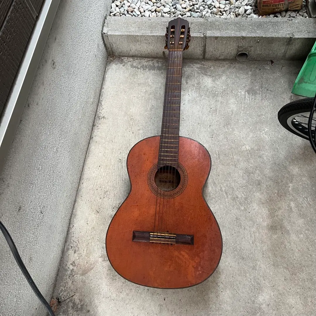 2026年最新】shinano guitarの人気アイテム - メルカリ