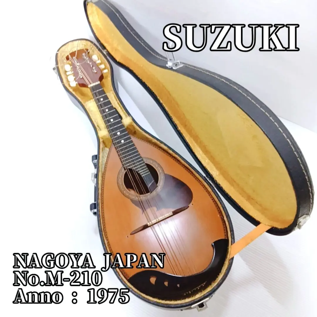 2026年最新】SUZUKI マンドリン m-210の人気アイテム - メルカリ