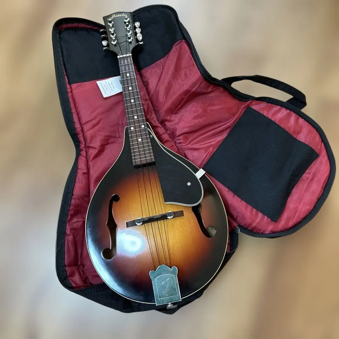 2026年最新】jumbo マンドリンの人気アイテム - メルカリ