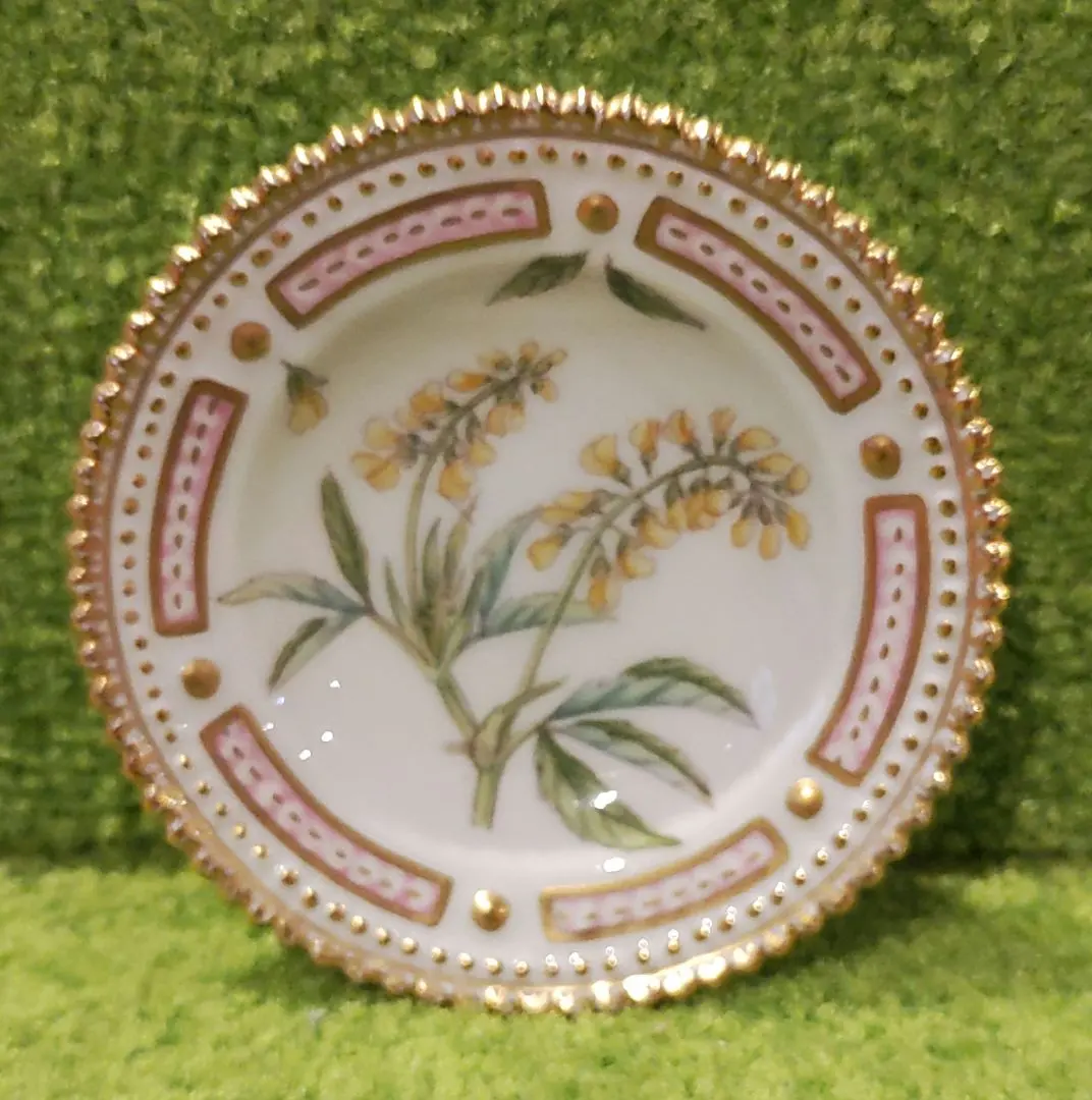 2026年最新】フローラダニカの人気アイテム - メルカリ