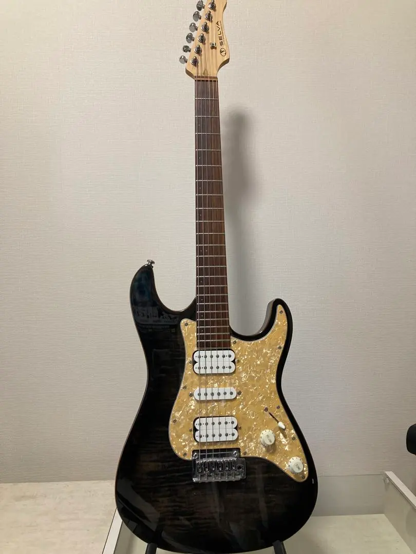 2026年最新】selva ギターの人気アイテム - メルカリ