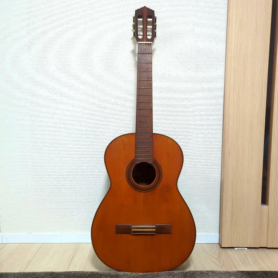 2026年最新】SHINANO GUITARの人気アイテム - メルカリ