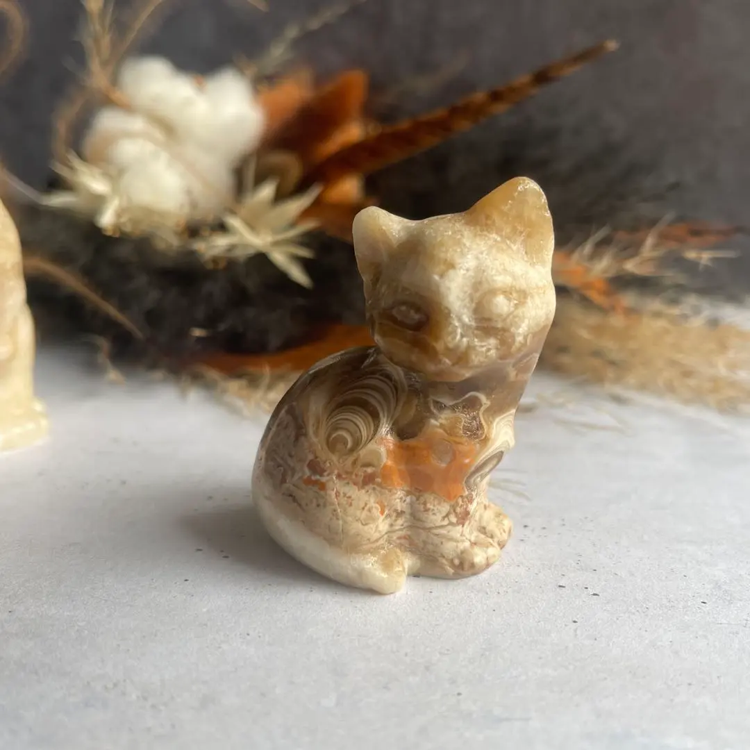 2026年最新】チョコレートカルサイトの人気アイテム - メルカリ