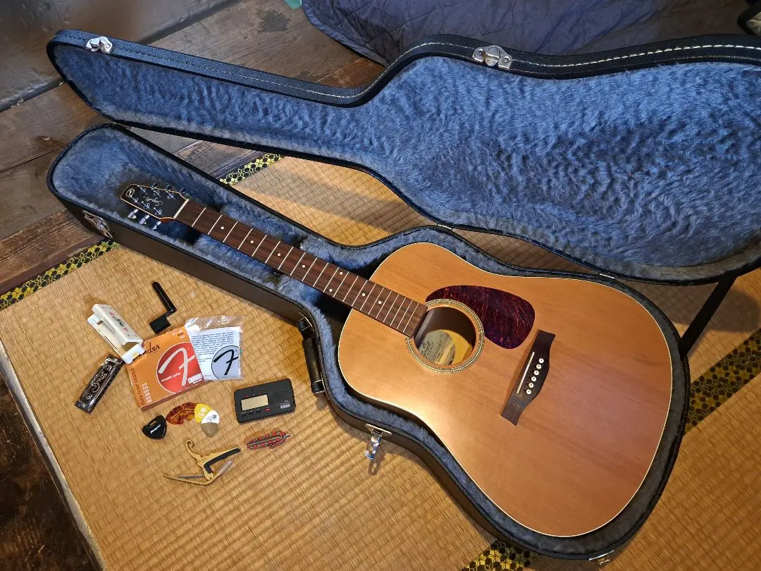 2026年最新】シーガル ギターの人気アイテム - メルカリ