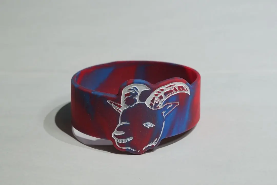 2026年最新】Chevon ラバーバンドの人気アイテム - メルカリ