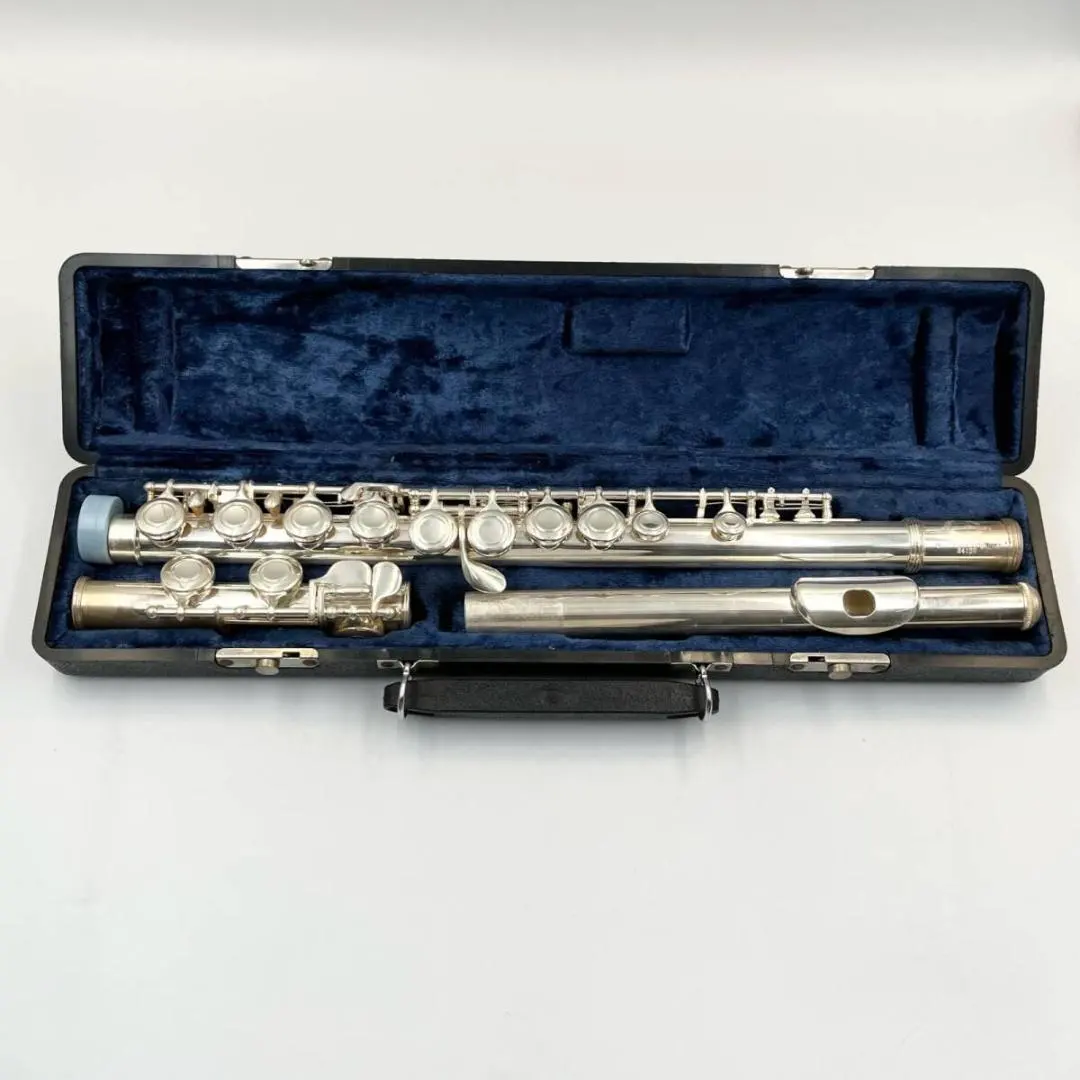 2026年最新】Maxtone フルートの人気アイテム - メルカリ