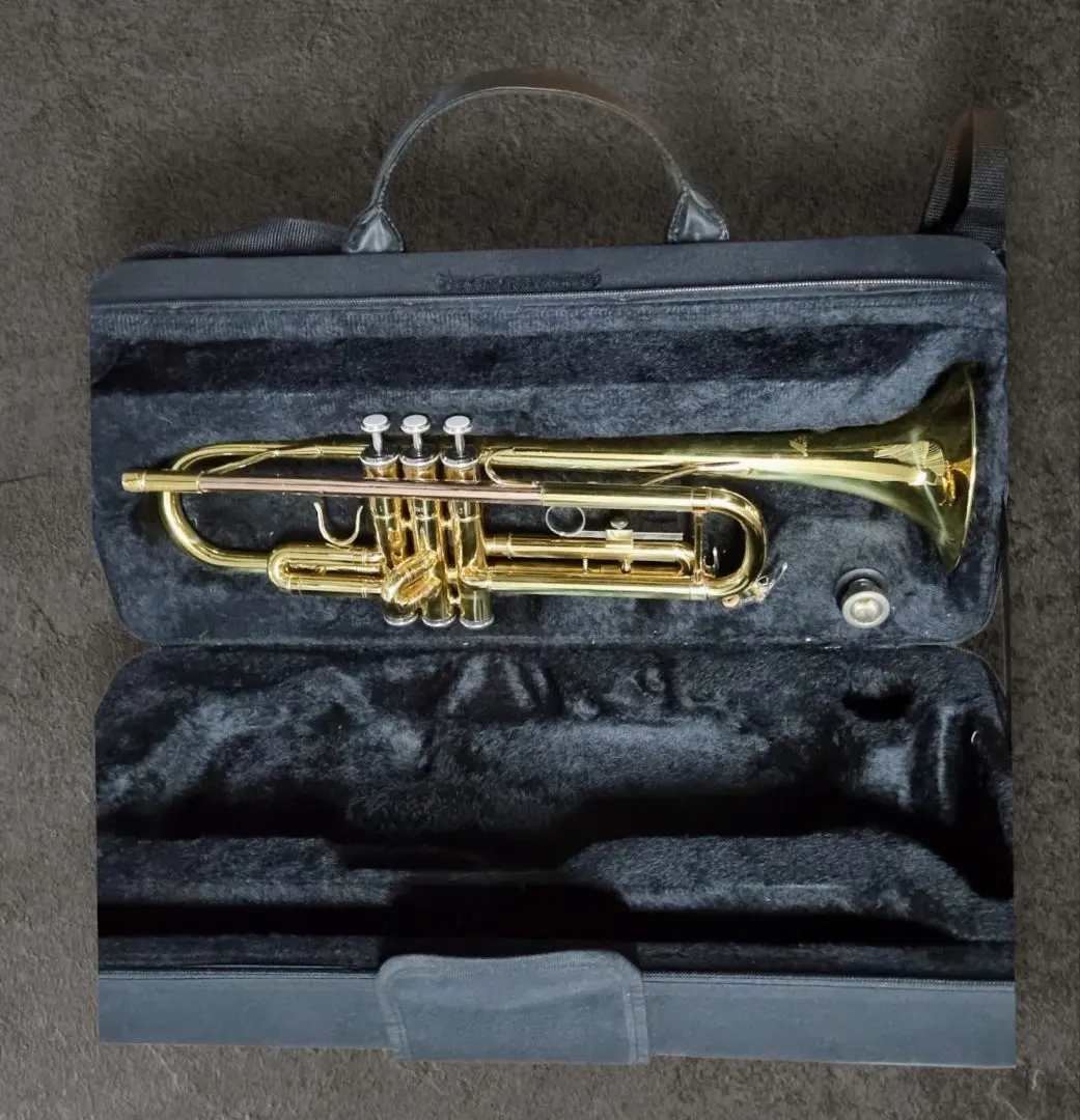 2026年最新】minerva トランペットの人気アイテム - メルカリ