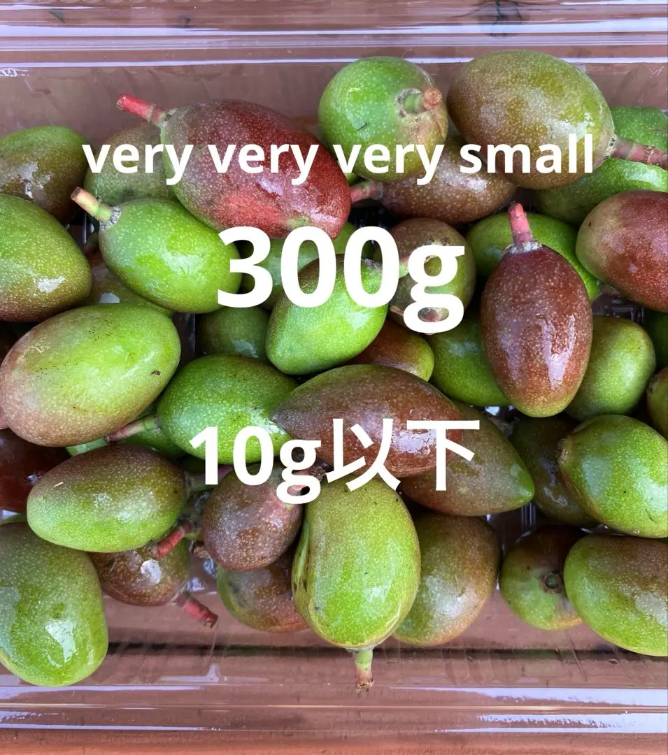 2026年最新】摘果マンゴーの人気アイテム - メルカリ