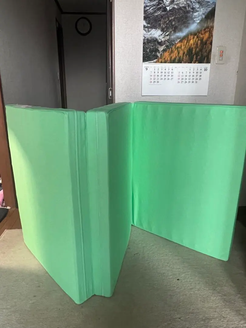 2026年最新】ヘルスウェーブゴールド ジュニアの人気アイテム - メルカリ