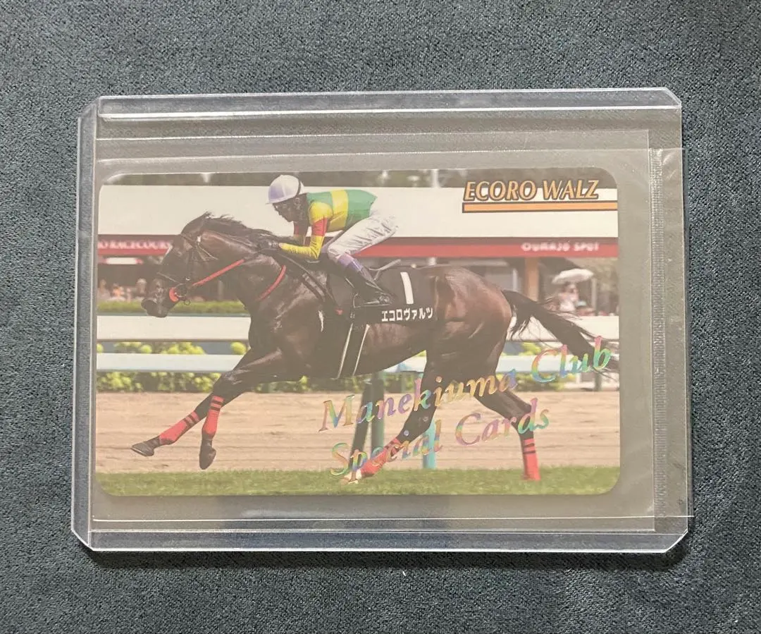 2026年最新】まねき馬 レインボーカードの人気アイテム - メルカリ