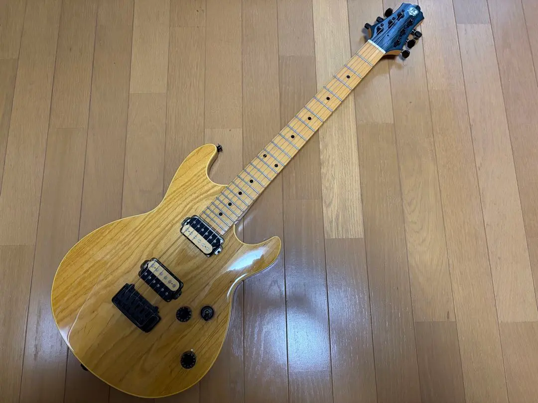 2026年最新】エレキギター ANBOYの人気アイテム - メルカリ