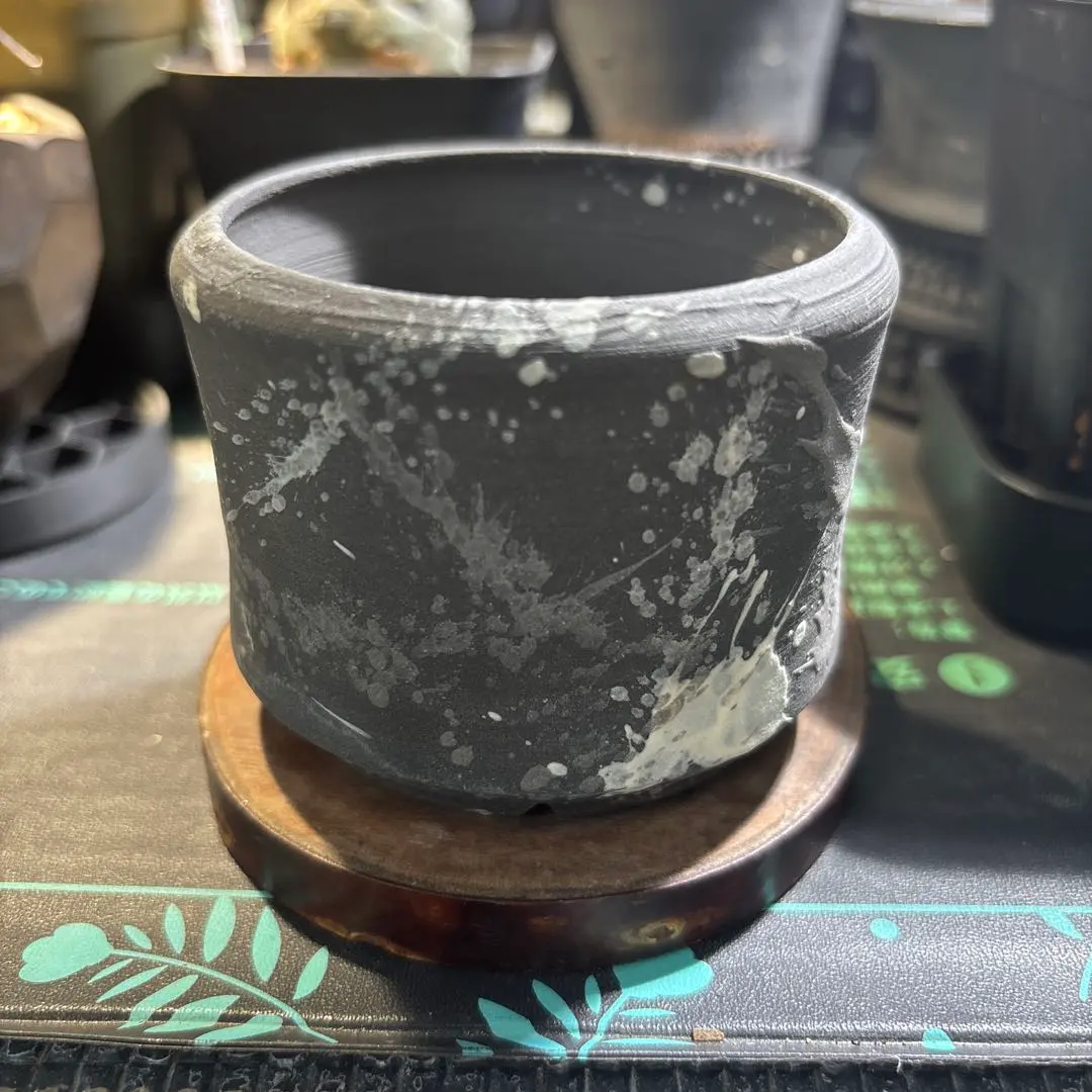 2026年最新】willing plantの人気アイテム - メルカリ