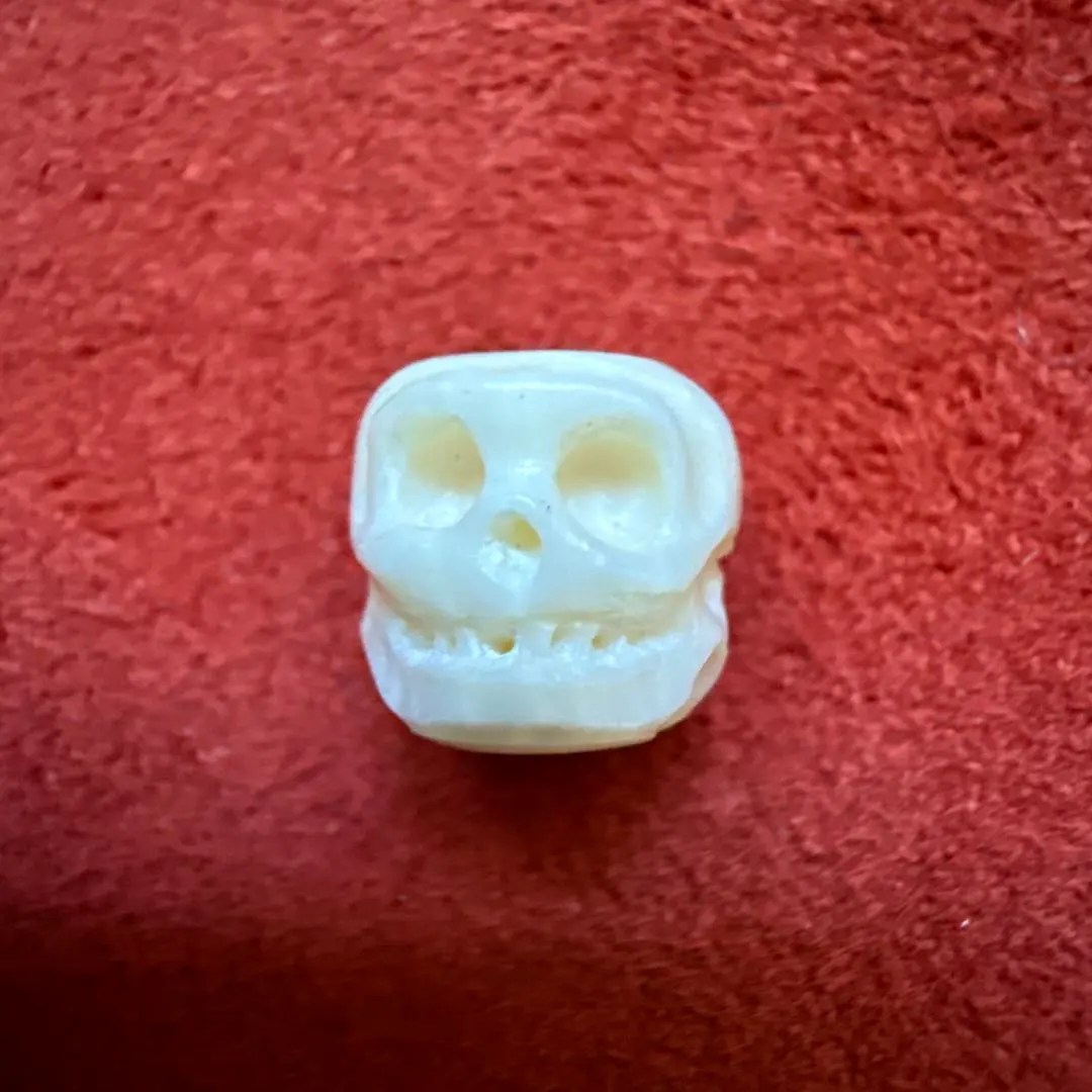 2026年最新】チベタンスカルの人気アイテム - メルカリ