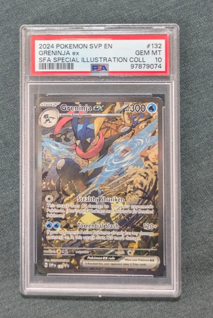 m91242481768_1.jpg?1767622978