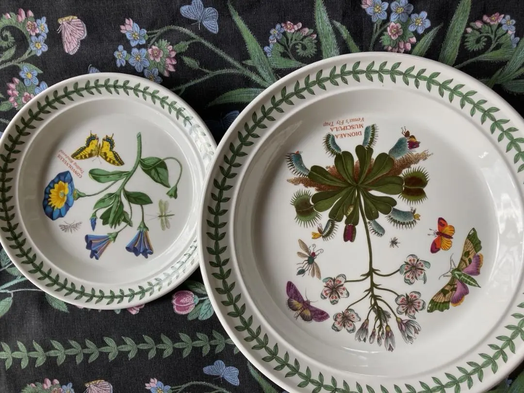 2026年最新】ポートメリオン ボタニックガーデンの人気アイテム - メルカリ