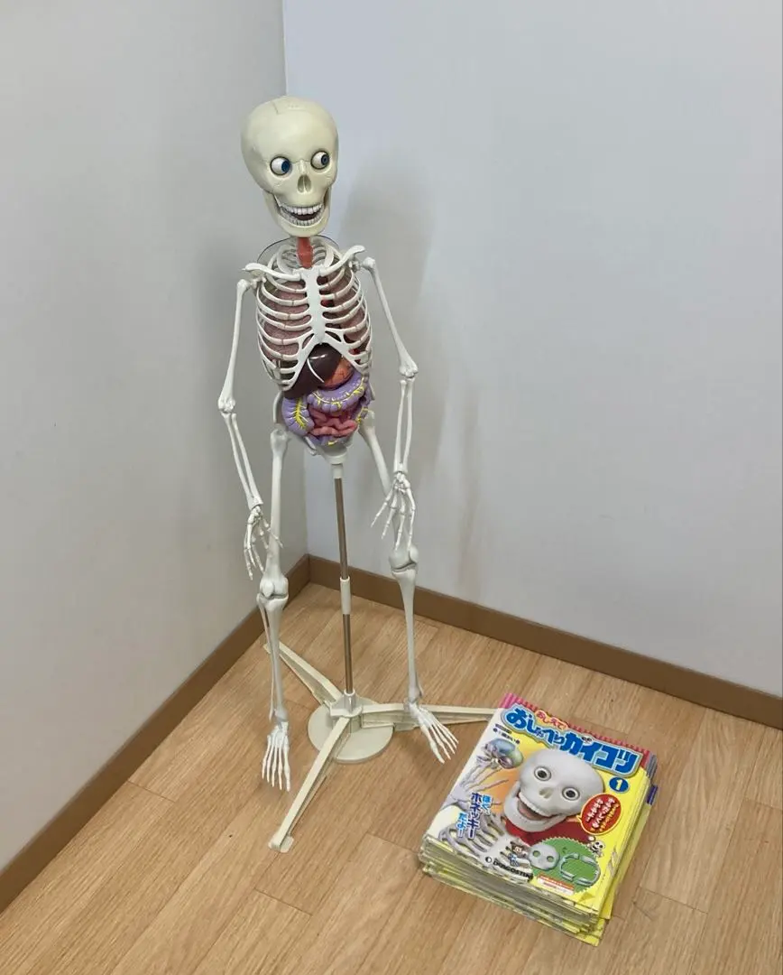 2026年最新】ホネッキーの人気アイテム - メルカリ