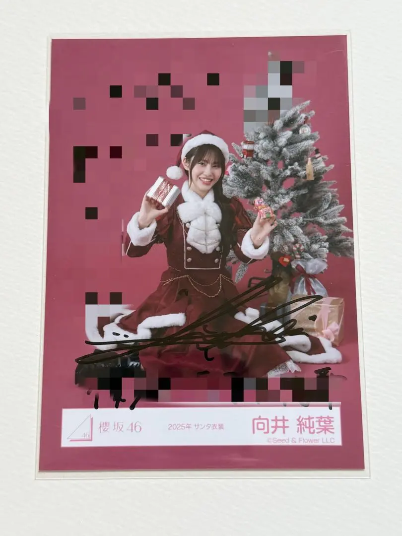 2026年最新】向井純葉 直筆サインの人気アイテム - メルカリ