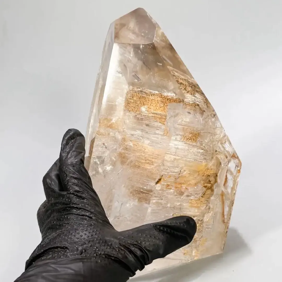 2026年最新】骸晶の人気アイテム - メルカリ