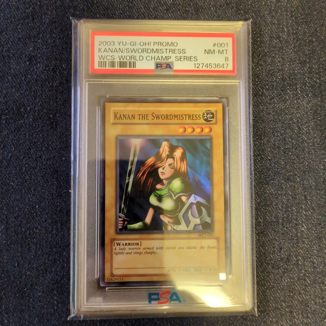 2026年最新】女剣士カナン wcsの人気アイテム - メルカリ