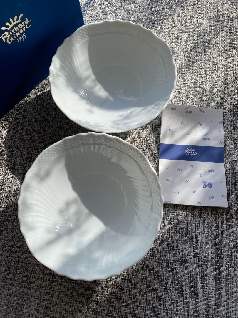 2026年最新】リチャードジノリ ベッキオホワイト16の人気アイテム