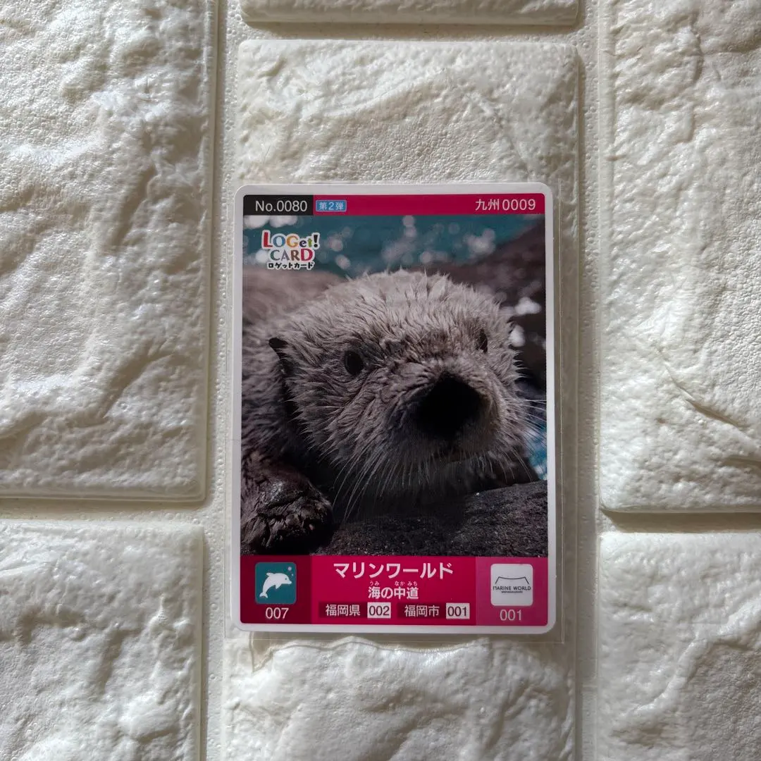 2026年最新】ラッコのリロくんの人気アイテム - メルカリ