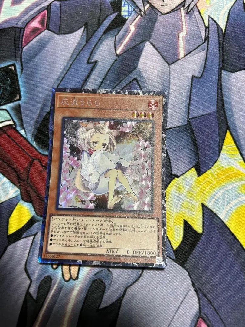 2026年最新】はるうらら 絵違いの人気アイテム - メルカリ
