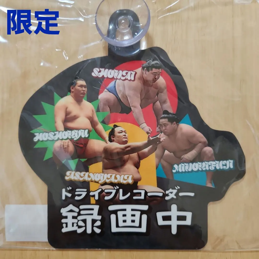 2026年最新】豊昇龍 サインの人気アイテム - メルカリ