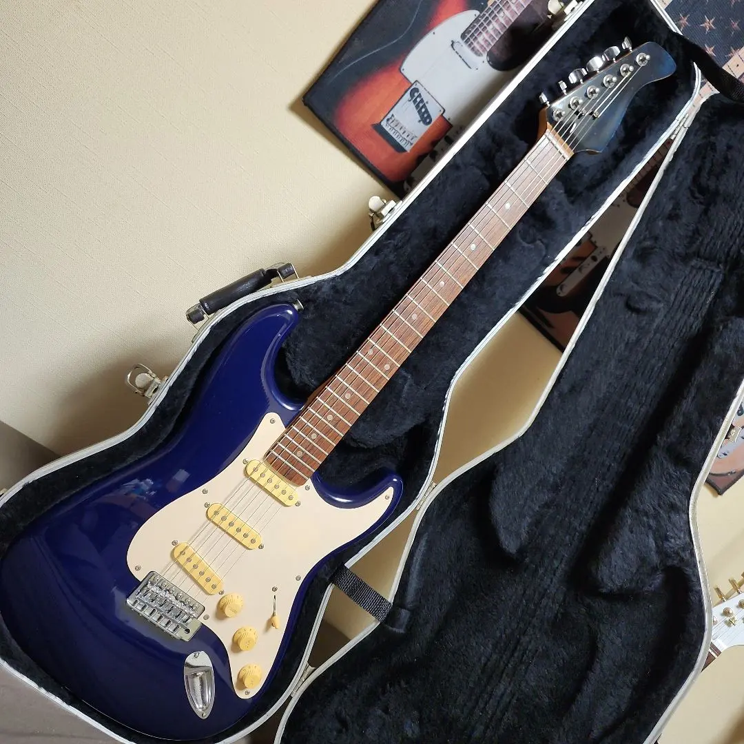 2026年最新】FERNANDES ストラト FGの人気アイテム - メルカリ