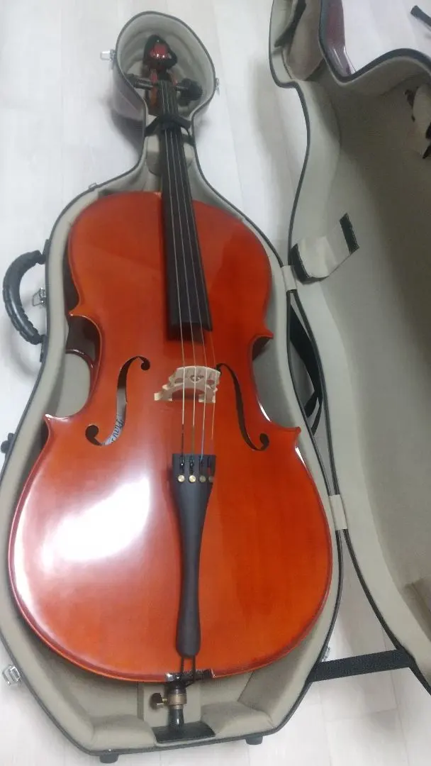 2026年最新】ハードケース チェロの人気アイテム - メルカリ