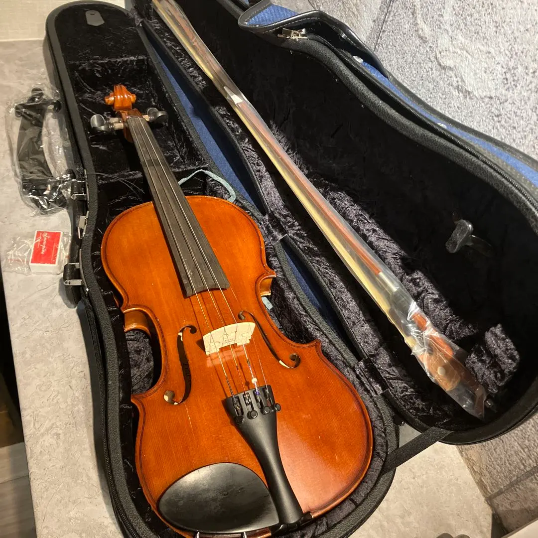 2026年最新】恵那バイオリンの人気アイテム - メルカリ