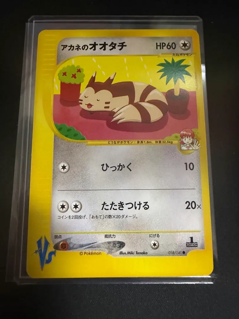 m94107717217_1.jpg?1768329510