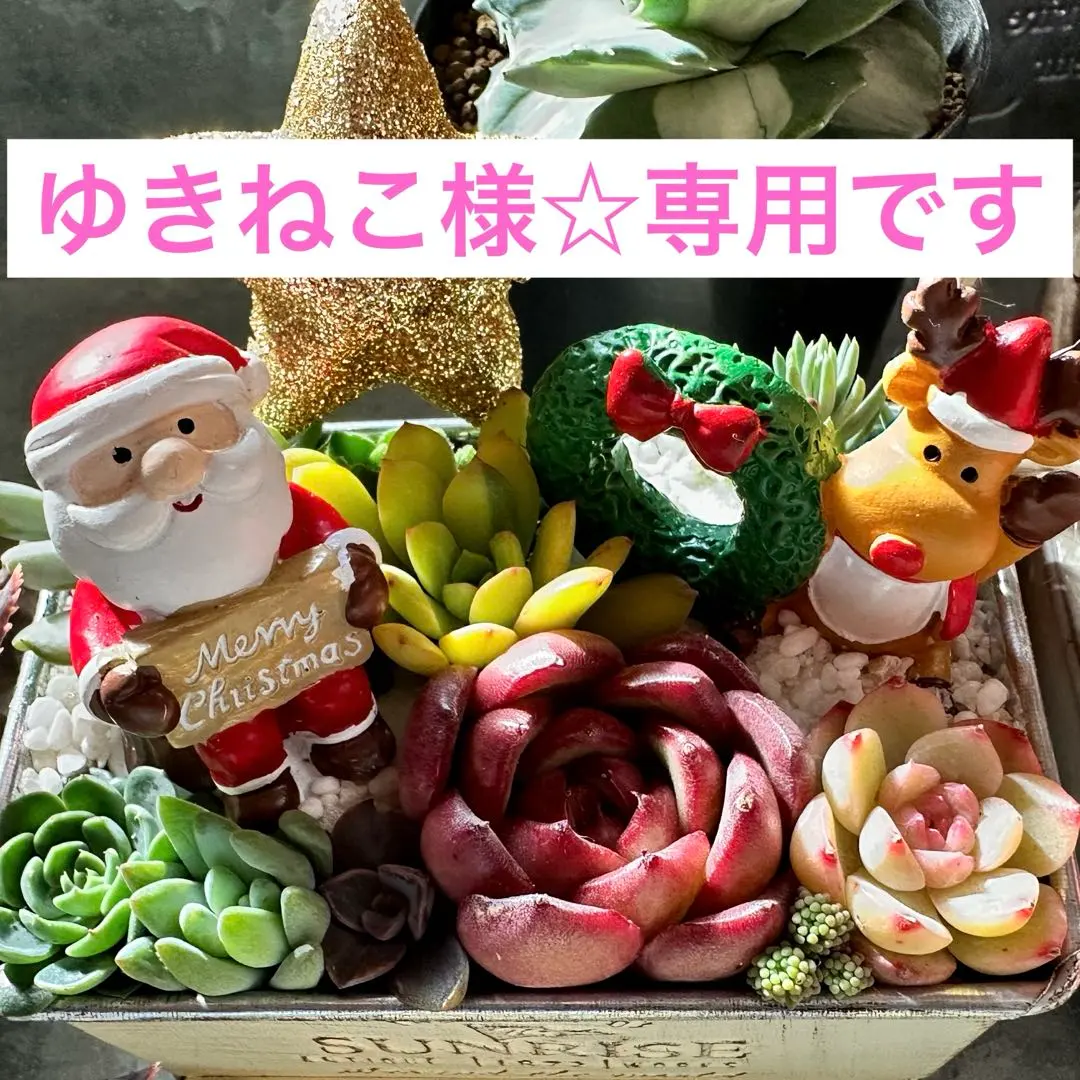 2026年最新】キュービックフロスティ錦の人気アイテム - メルカリ