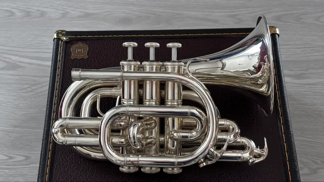 2026年最新】マルカート ソフィアの人気アイテム - メルカリ