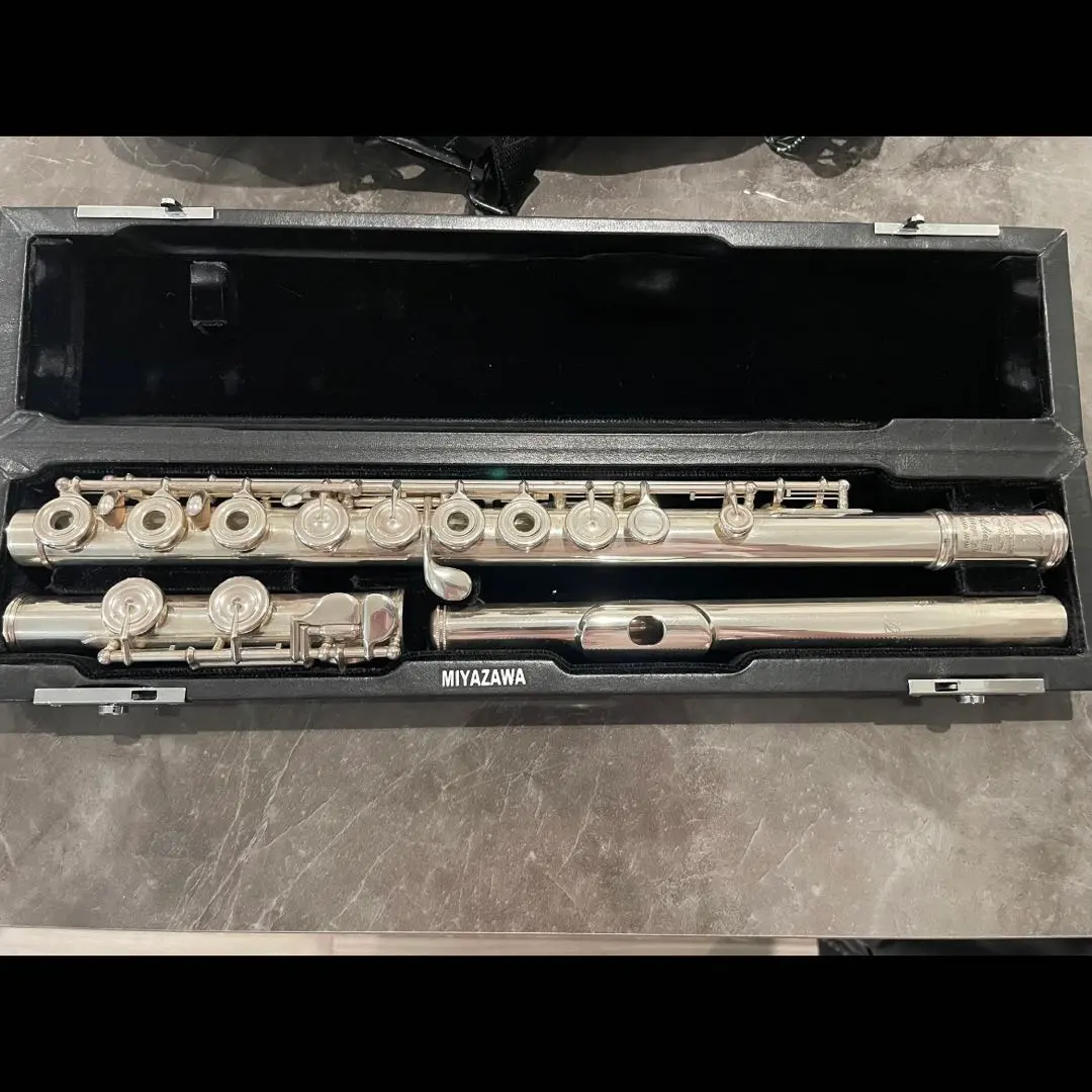 2026年最新】ミヤザワ フルートの人気アイテム - メルカリ