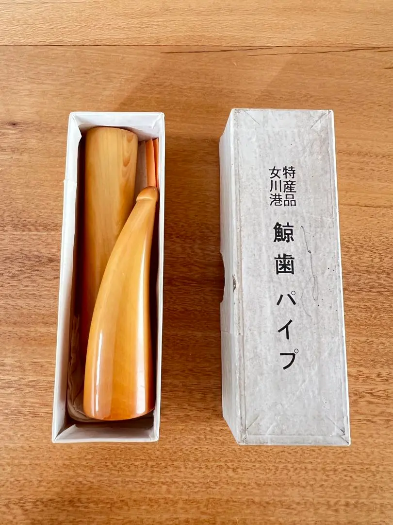 2026年最新】鯨歯 パイプの人気アイテム - メルカリ