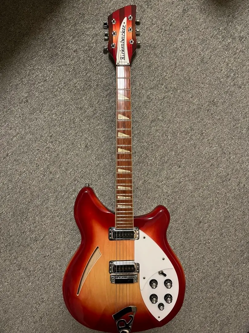 2026年最新】Rickenbacker リッケンバッカーの純正ハードケースの人気