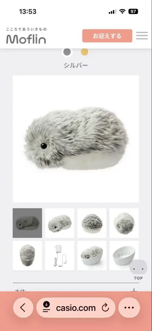 2026年最新】CASIO ぬいぐるみ本体の人気アイテム - メルカリ