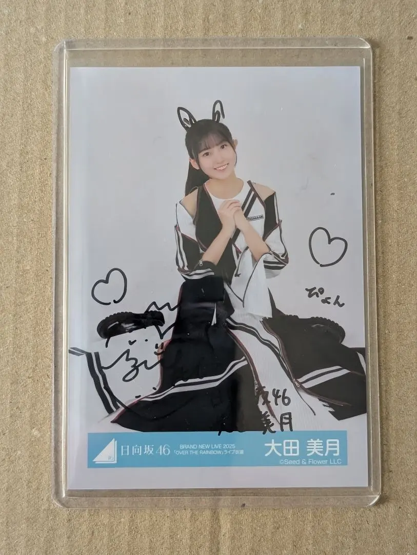 2026年最新】金城碧海 サインの人気アイテム - メルカリ