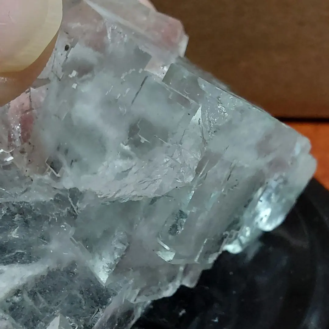 2026年最新】シャンファーリンの人気アイテム - メルカリ